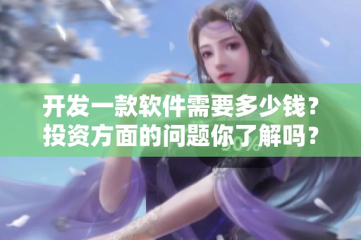 开发一款软件需要多少钱？投资方面的问题你了解吗？