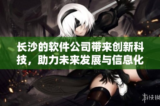 长沙的软件公司带来创新科技，助力未来发展与信息化转型