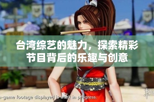 台湾综艺的魅力，探索精彩节目背后的乐趣与创意