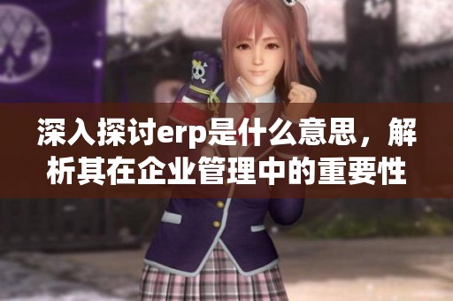 深入探讨erp是什么意思，解析其在企业管理中的重要性与作用