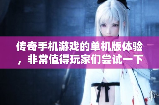 传奇手机游戏的单机版体验，非常值得玩家们尝试一下哦