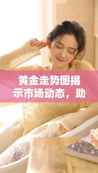 黄金走势图揭示市场动态，助力投资者掌握黄金走势变化