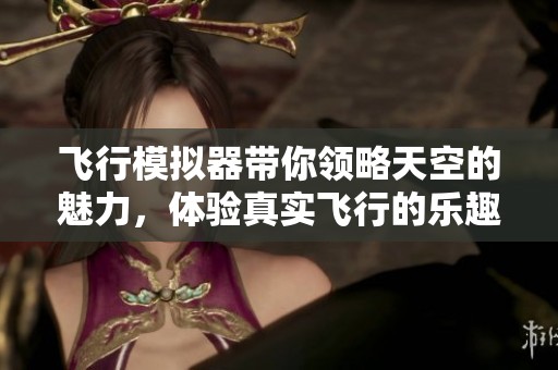 飞行模拟器带你领略天空的魅力，体验真实飞行的乐趣与挑战