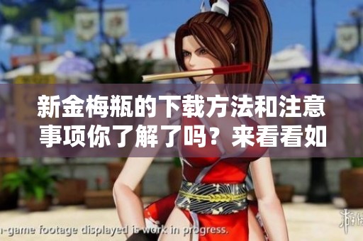 新金梅瓶的下载方法和注意事项你了解了吗？来看看如何获取新金梅瓶吧！