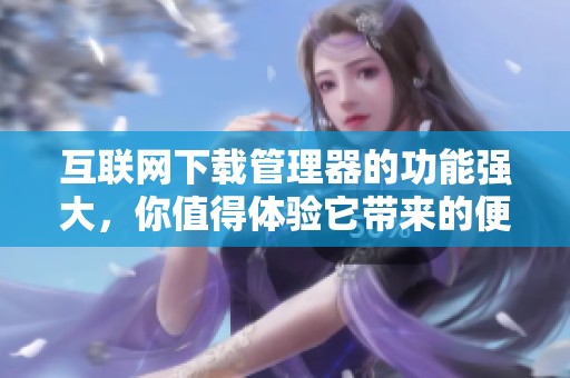 互联网下载管理器的功能强大，你值得体验它带来的便捷下载效果