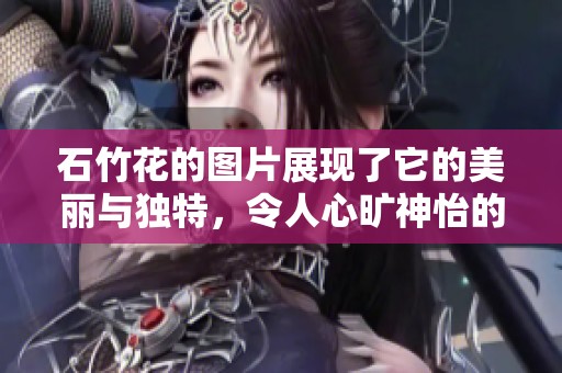 石竹花的图片展现了它的美丽与独特，令人心旷神怡的景象尽在其中。