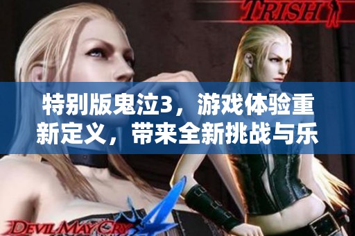 特别版鬼泣3，游戏体验重新定义，带来全新挑战与乐趣
