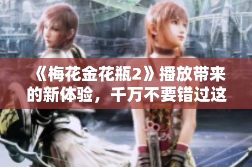 《梅花金花瓶2》播放带来的新体验，千万不要错过这场视觉盛宴！