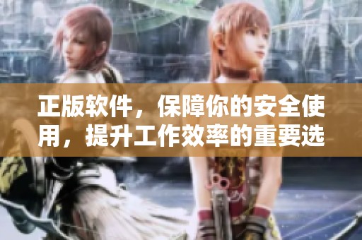 正版软件，保障你的安全使用，提升工作效率的重要选择