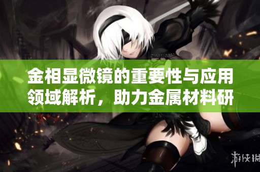 金相显微镜的重要性与应用领域解析，助力金属材料研究与改进