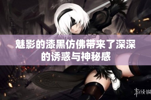 魅影的漆黑仿佛带来了深深的诱惑与神秘感