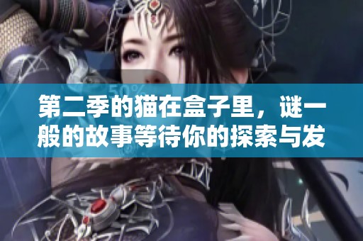 第二季的猫在盒子里，谜一般的故事等待你的探索与发现