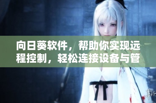 向日葵软件，帮助你实现远程控制，轻松连接设备与管理。