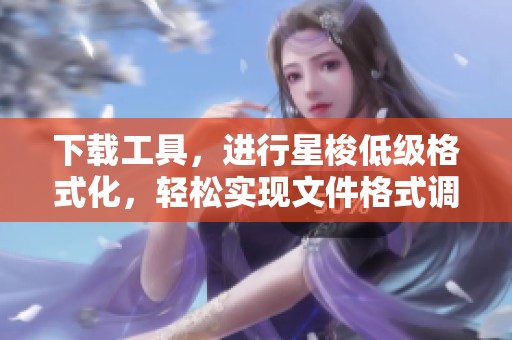 下载工具，进行星梭低级格式化，轻松实现文件格式调整