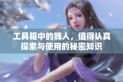 工具箱中的贱人，值得认真探索与使用的秘密知识