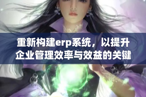 重新构建erp系统，以提升企业管理效率与效益的关键所在