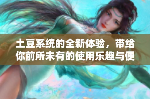 土豆系统的全新体验，带给你前所未有的使用乐趣与便利