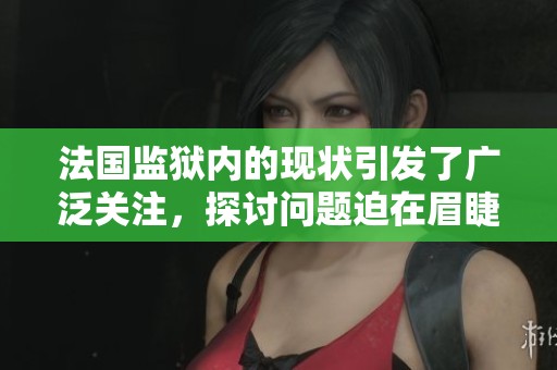 法国监狱内的现状引发了广泛关注，探讨问题迫在眉睫