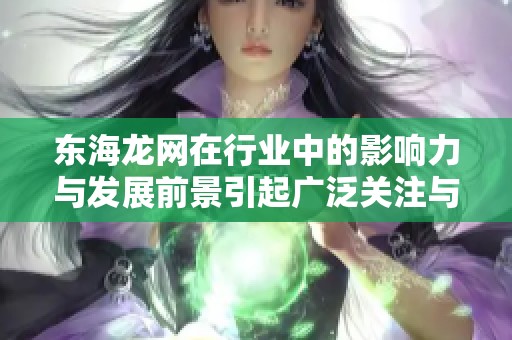 东海龙网在行业中的影响力与发展前景引起广泛关注与讨论
