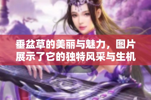 垂盆草的美丽与魅力，图片展示了它的独特风采与生机
