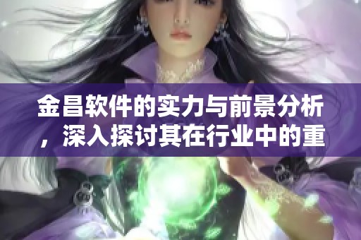 金昌软件的实力与前景分析，深入探讨其在行业中的重要性与影响力