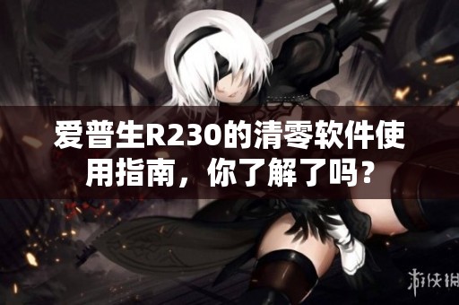爱普生R230的清零软件使用指南，你了解了吗？