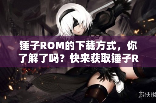 锤子ROM的下载方式，你了解了吗？快来获取锤子ROM下载吧！