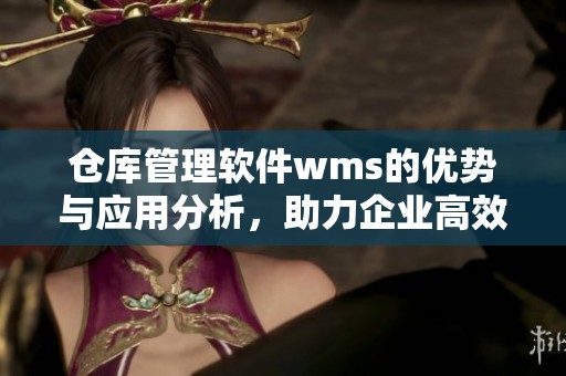 仓库管理软件wms的优势与应用分析，助力企业高效管理物流资源