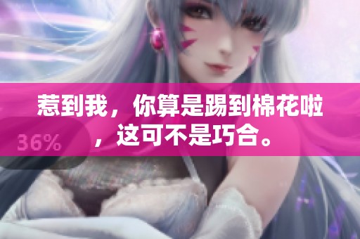 惹到我，你算是踢到棉花啦，这可不是巧合。