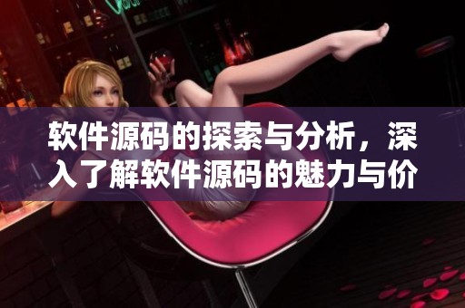软件源码的探索与分析，深入了解软件源码的魅力与价值