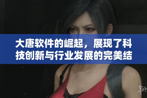 大唐软件的崛起，展现了科技创新与行业发展的完美结合
