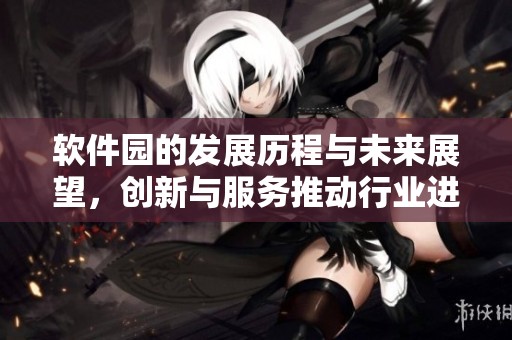 软件园的发展历程与未来展望，创新与服务推动行业进步