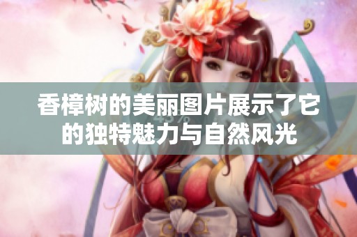 香樟树的美丽图片展示了它的独特魅力与自然风光