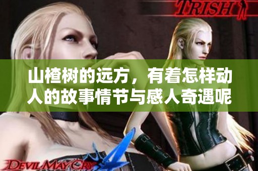 山楂树的远方，有着怎样动人的故事情节与感人奇遇呢