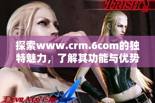 探索www.crm.6com的独特魅力，了解其功能与优势的深度解析