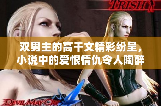双男主的高干文精彩纷呈，小说中的爱恨情仇令人陶醉。