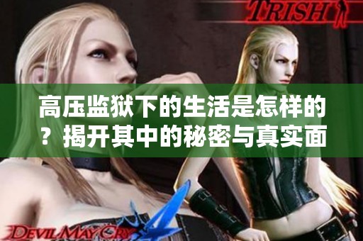 高压监狱下的生活是怎样的？揭开其中的秘密与真实面貌