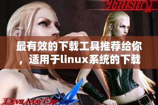 最有效的下载工具推荐给你，适用于linux系统的下载工具大全