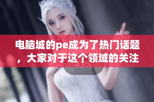 电脑城的pe成为了热门话题，大家对于这个领域的关注度不断上升。