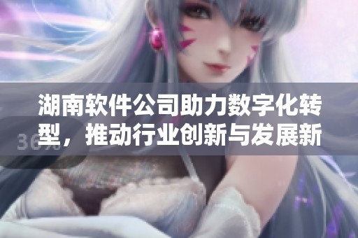 湖南软件公司助力数字化转型，推动行业创新与发展新局面