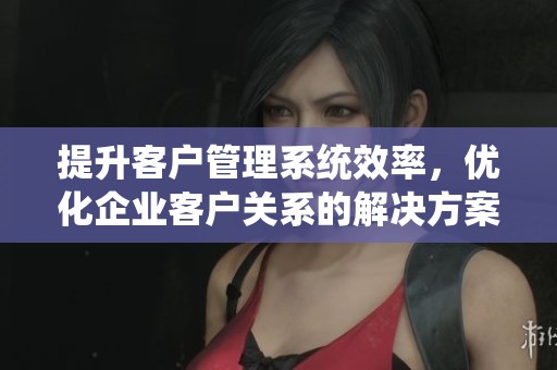 提升客户管理系统效率，优化企业客户关系的解决方案