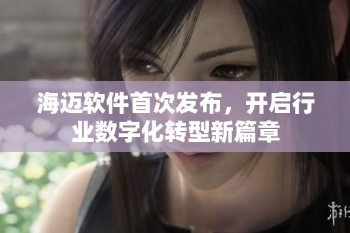 海迈软件首次发布，开启行业数字化转型新篇章