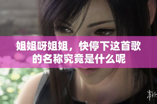 姐姐呀姐姐，快停下这首歌的名称究竟是什么呢