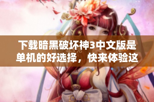 下载暗黑破坏神3中文版是单机的好选择，快来体验这一经典游戏吧