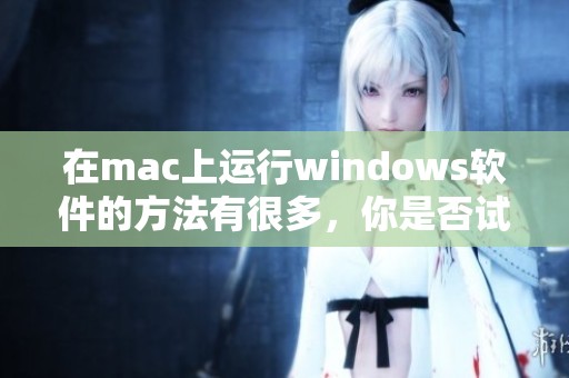 在mac上运行windows软件的方法有很多，你是否试过这些技巧呢
