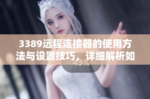 3389远程连接器的使用方法与设置技巧，详细解析如何高效连接设备
