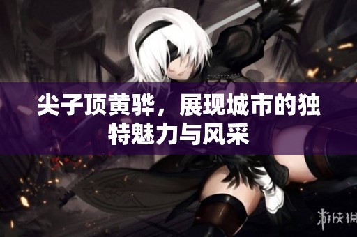 尖子顶黄骅，展现城市的独特魅力与风采