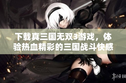 下载真三国无双3游戏，体验热血精彩的三国战斗快感