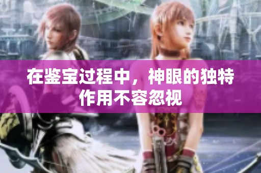 在鉴宝过程中，神眼的独特作用不容忽视