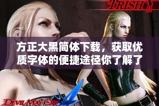 方正大黑简体下载，获取优质字体的便捷途径你了解了吗